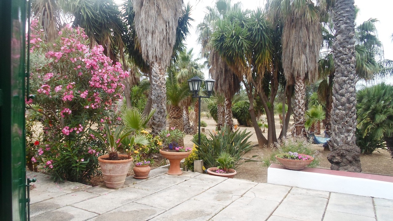 Photo of Outdoor in Carini
