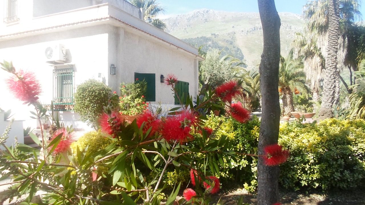 Photo of Outdoor in Carini