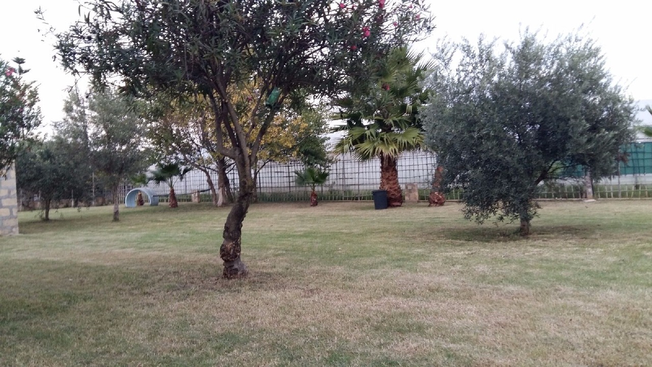 Photo of Outdoor in Piccio