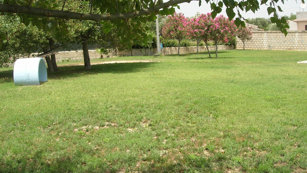 Photo of Outdoor in Piccio