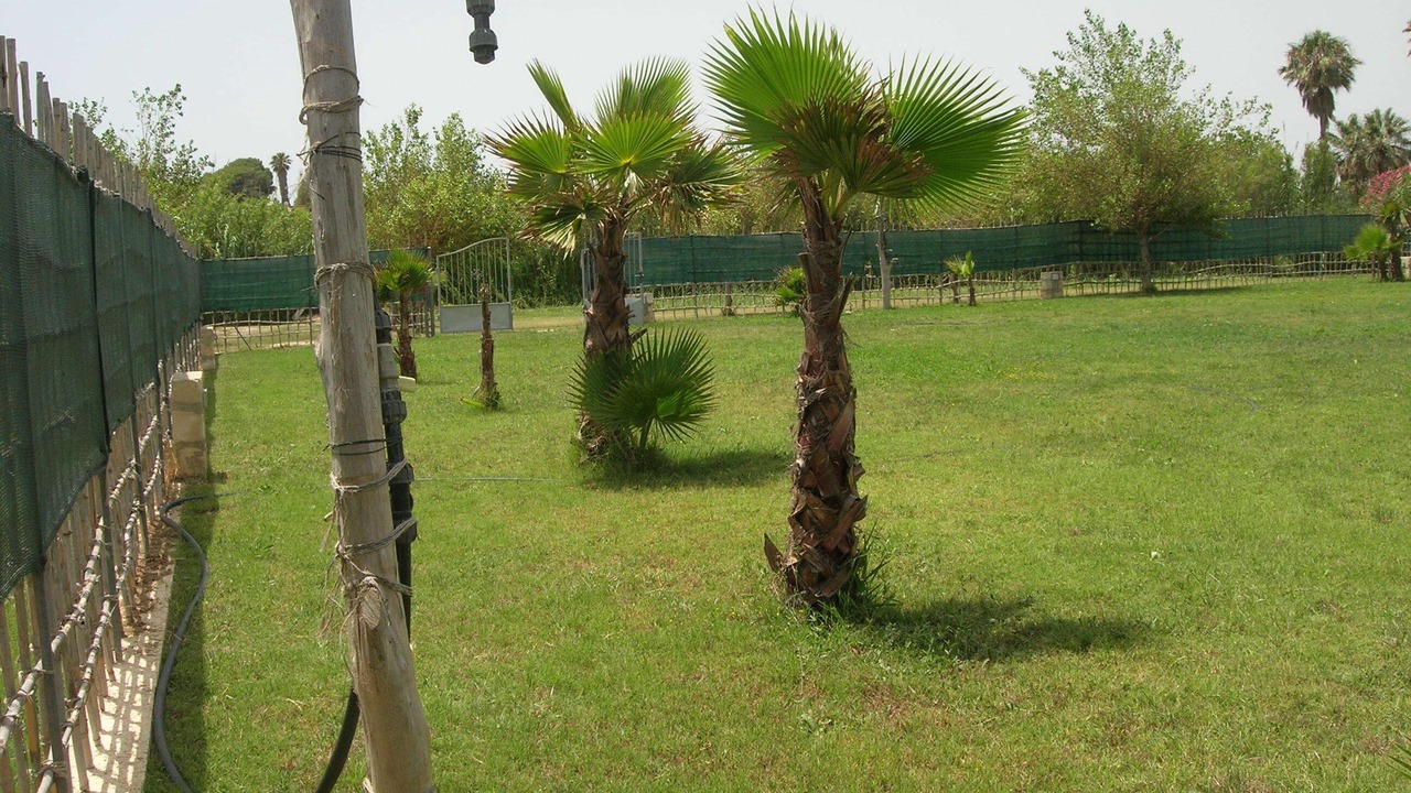 Photo of Outdoor in Piccio