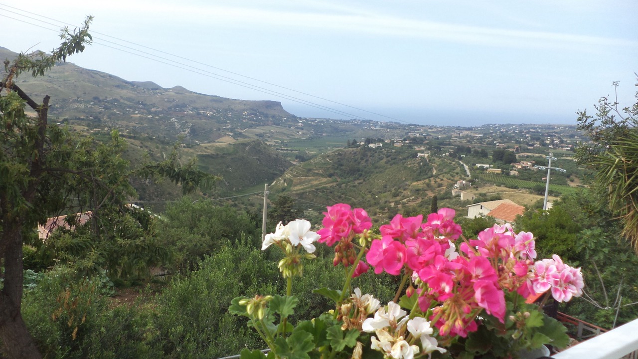 Photo of Outdoor in Castellammare del Golfo
