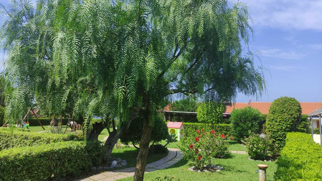 Photo of Outdoor in Santa Maria