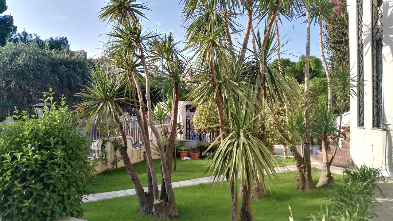 Photo of Outdoor in Trani