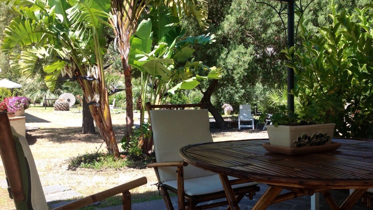 Photo of Outdoor in Piraino