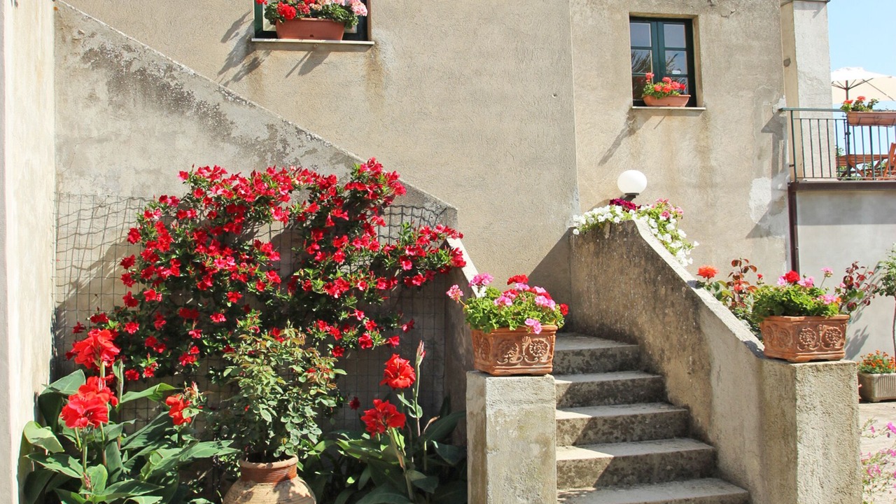 Photo of Outdoor in Naso
