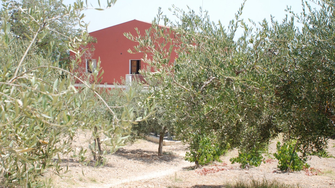 Photo of Outdoor in Realmonte