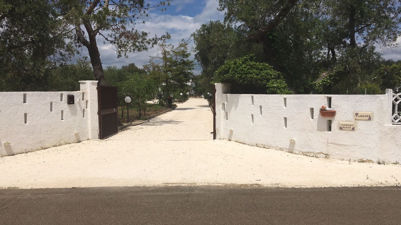 Photo of Outdoor in Oria