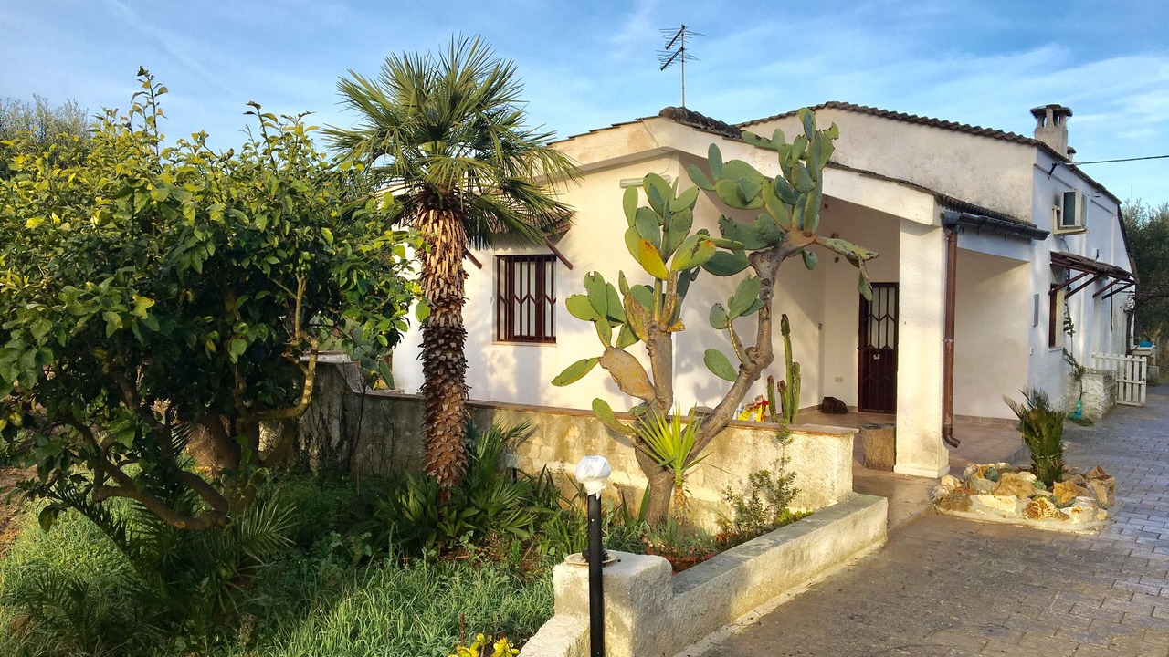 Photo of Outdoor in Oria