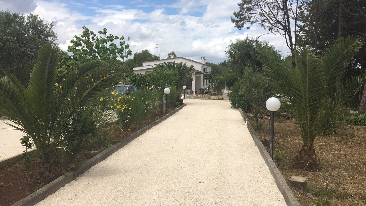 Photo of Outdoor in Oria