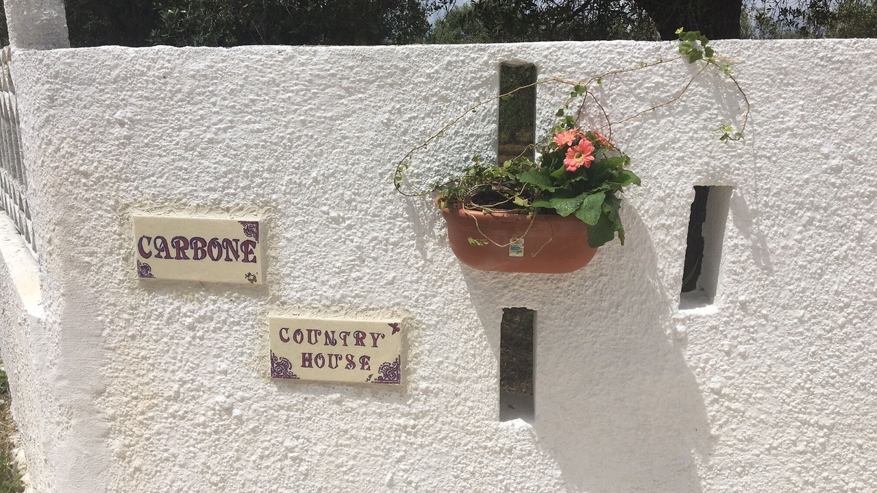 Photo of Outdoor in Oria