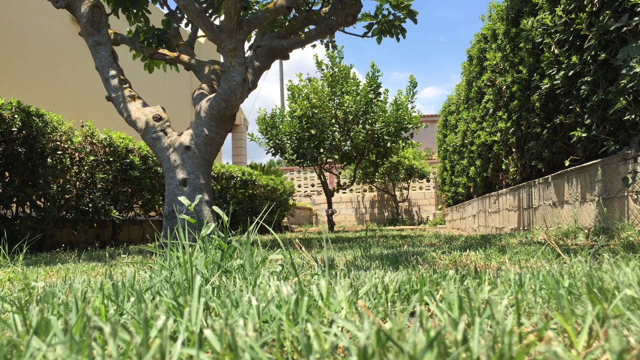 Photo of Outdoor in Noto