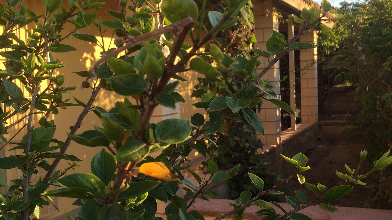 Photo of Outdoor in Noto