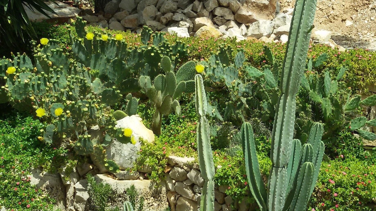 Photo of Outdoor in Morciano di Leuca