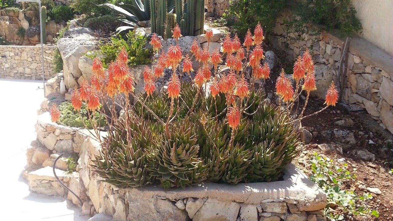 Photo of Outdoor in Morciano di Leuca