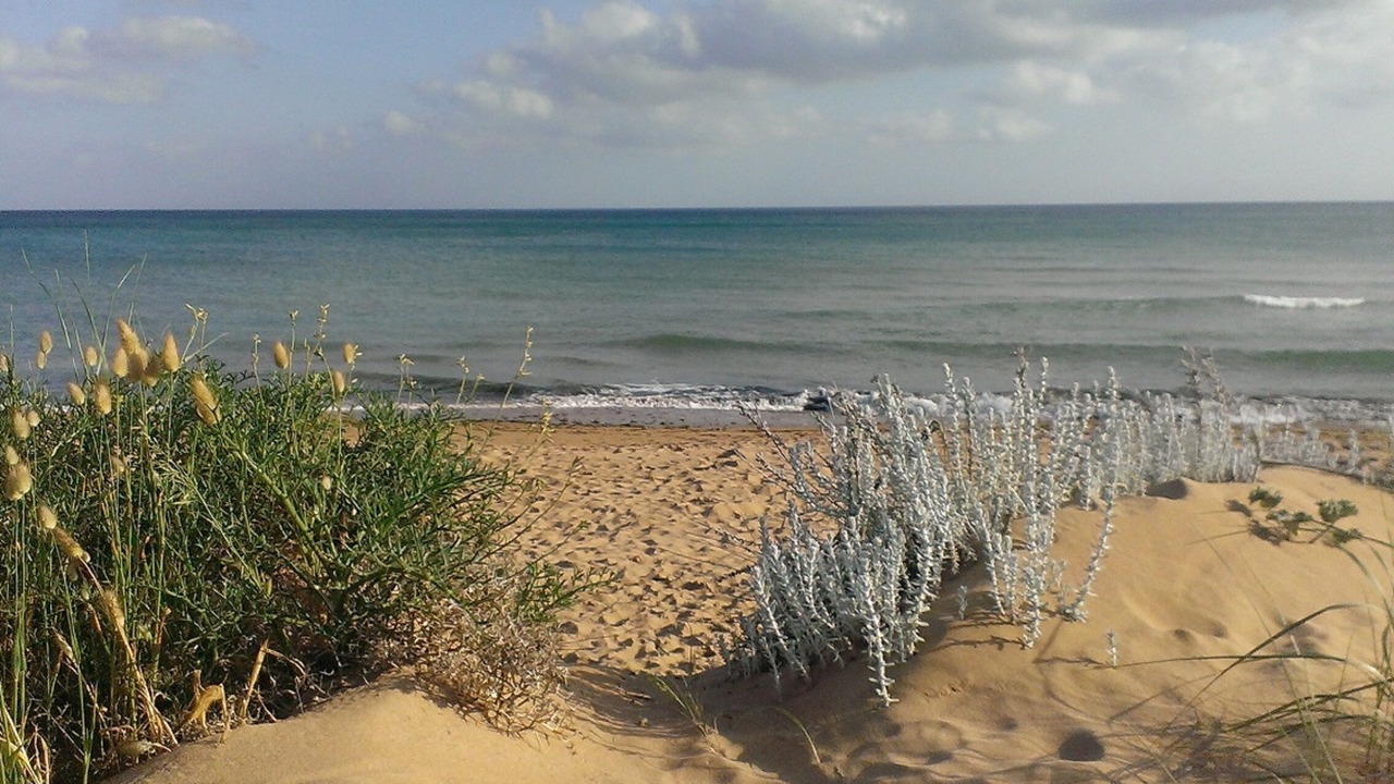 Photo of Others in Marinella di Selinunte
