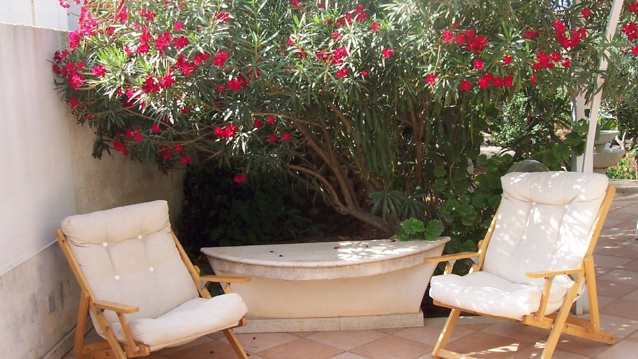 Photo of Patio Balcony in Marinella di Selinunte
