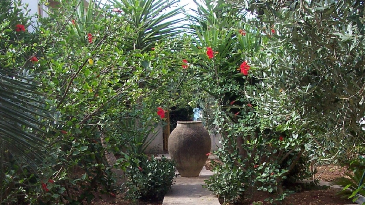 Photo of Outdoor in Marinella di Selinunte