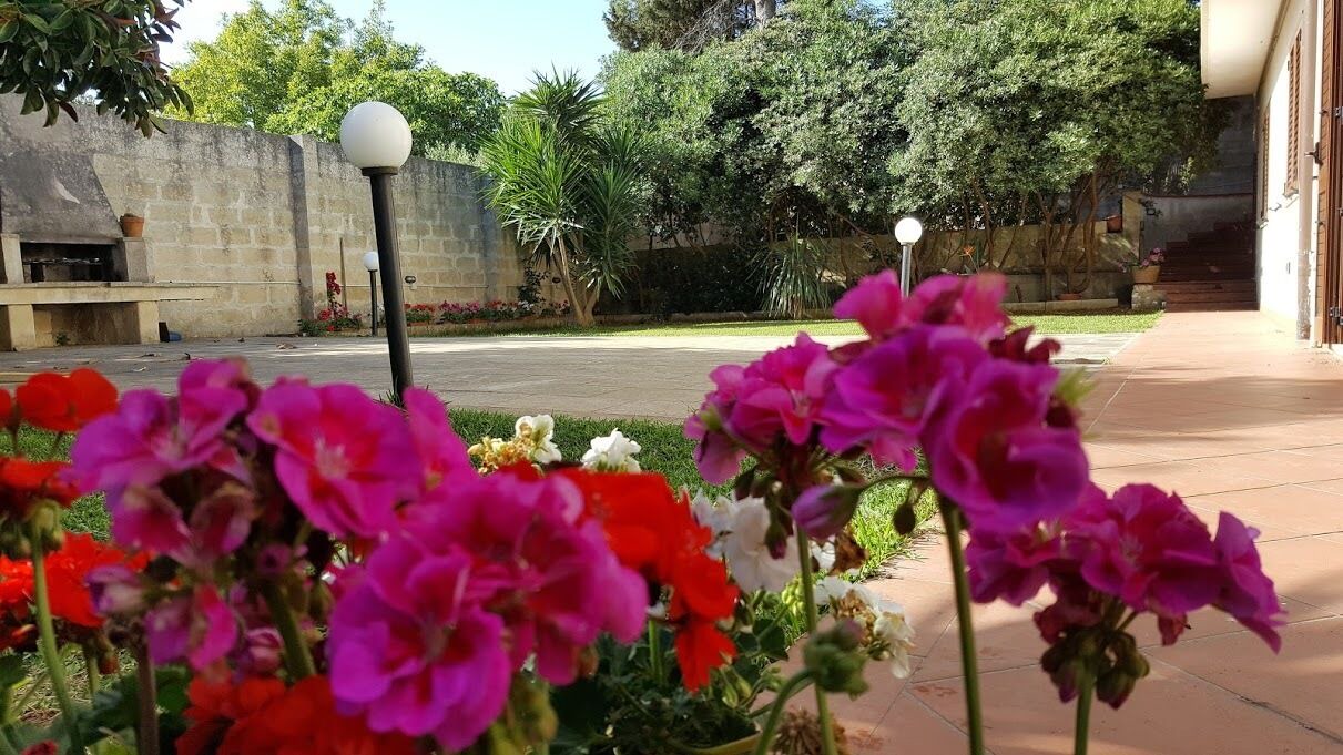 Photo of Outdoor in Carpignano Salentino