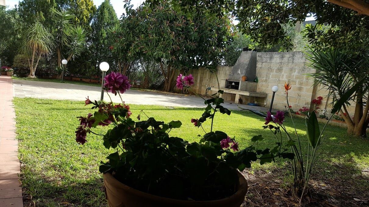 Photo of Outdoor in Carpignano Salentino