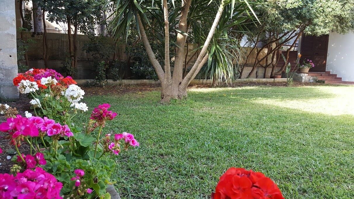 Photo of Outdoor in Carpignano Salentino