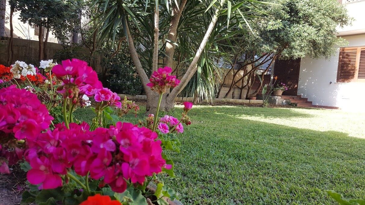 Photo of Outdoor in Carpignano Salentino