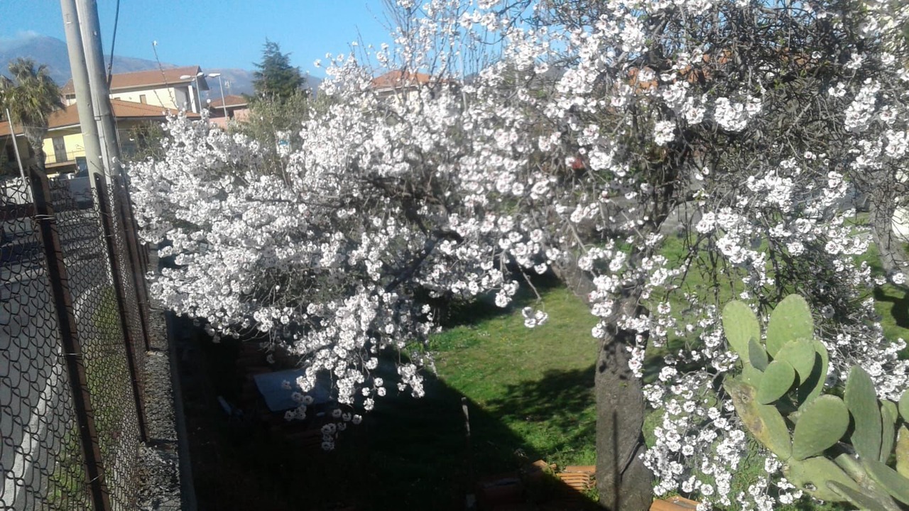 Photo of Outdoor in Mascalucia