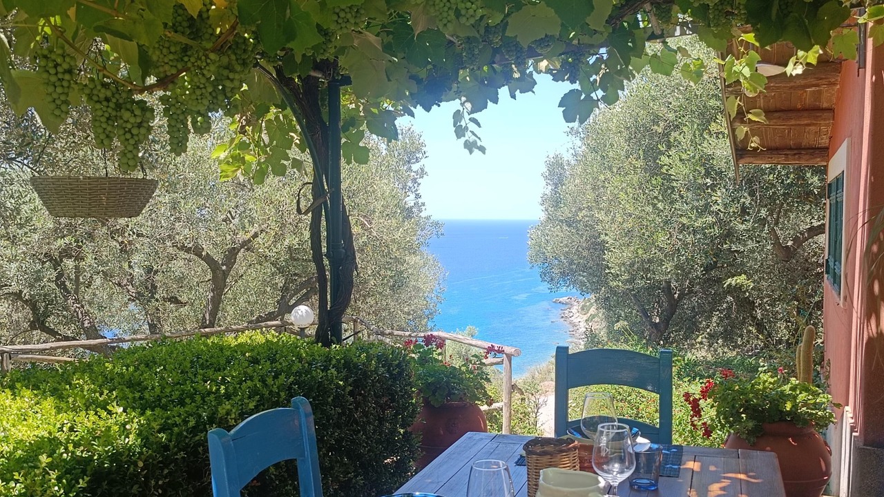 Photo of Outdoor in Coccorino