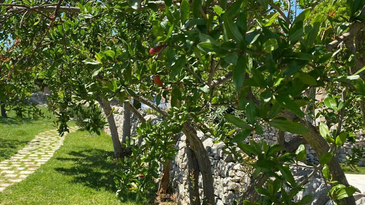Photo of Outdoor in Rosolini