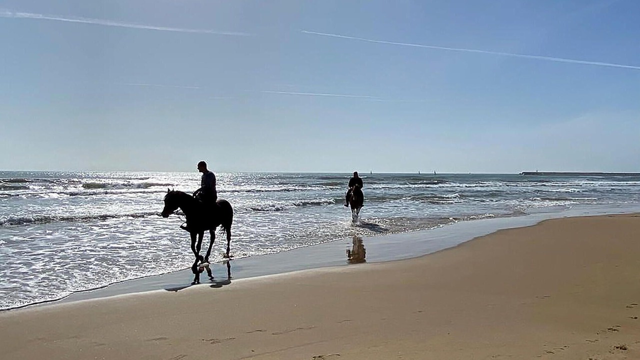Photo of Others in Marina di Ragusa
