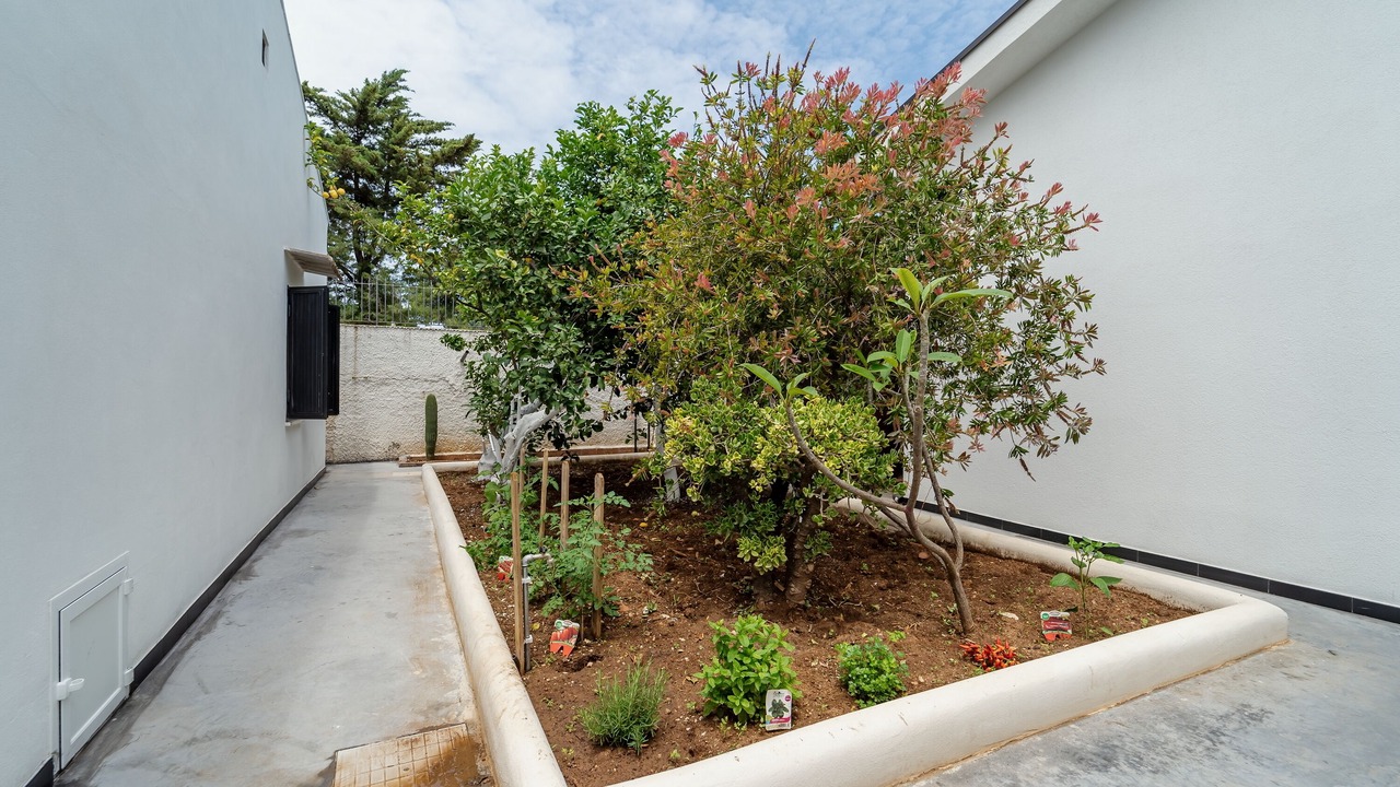 Photo of Outdoor in Carini