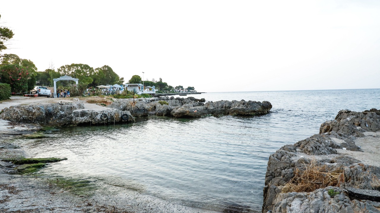 Photo of Others in Carini