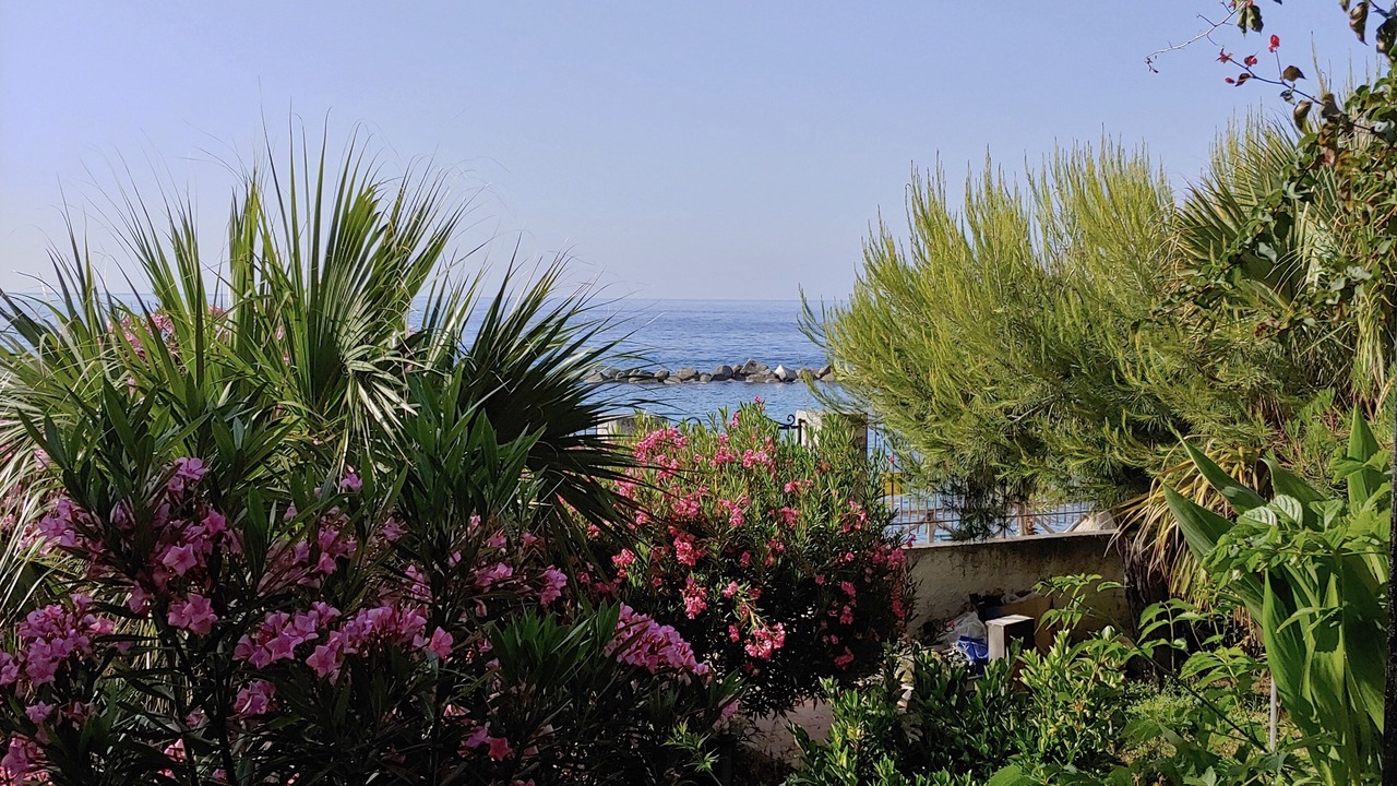 Photo of Outdoor in Scilla