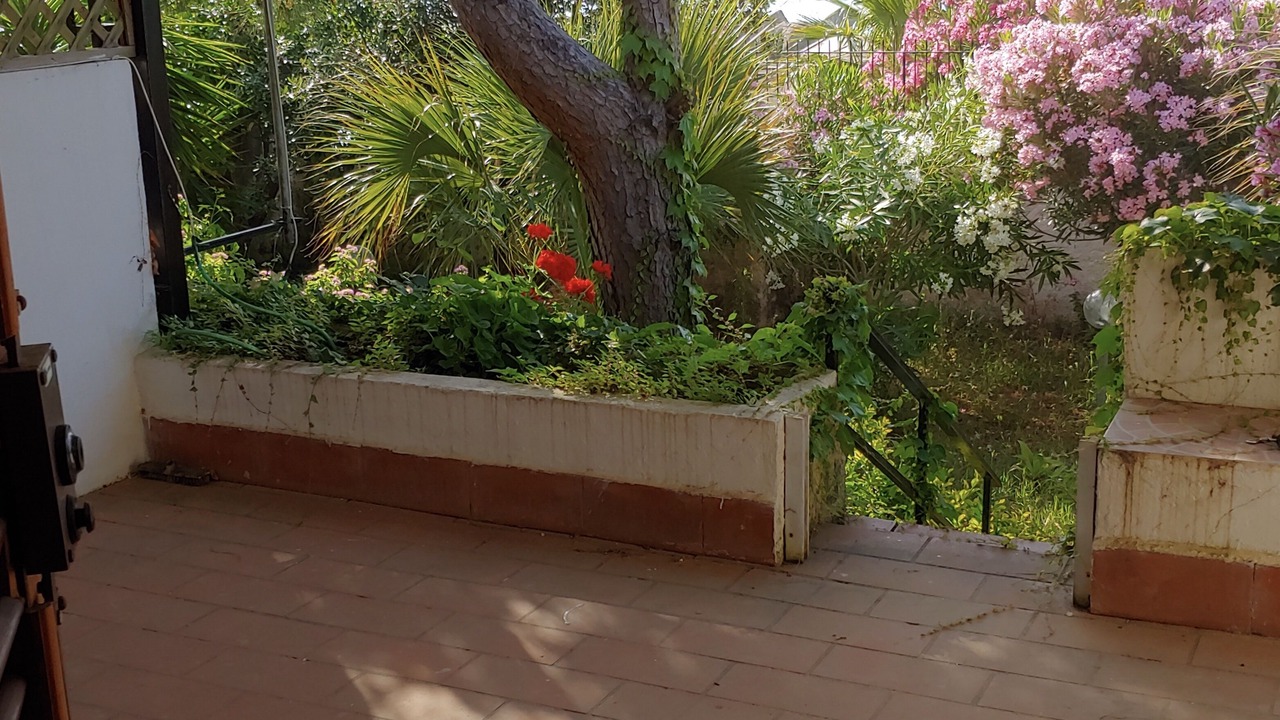 Photo of Outdoor in Scilla