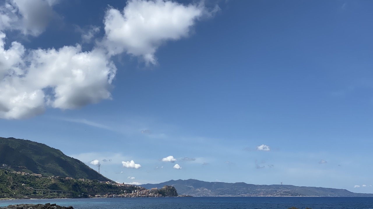 Photo of Others in Scilla