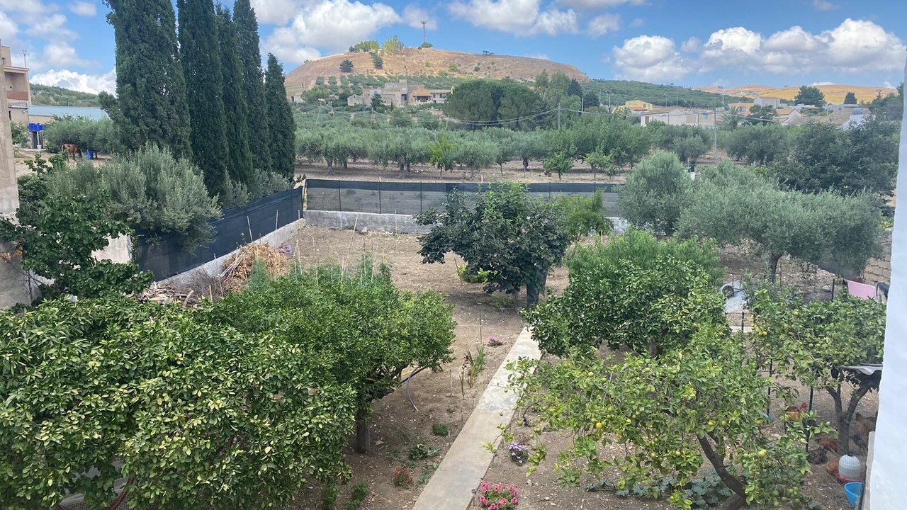 Photo of Outdoor in Dattilo