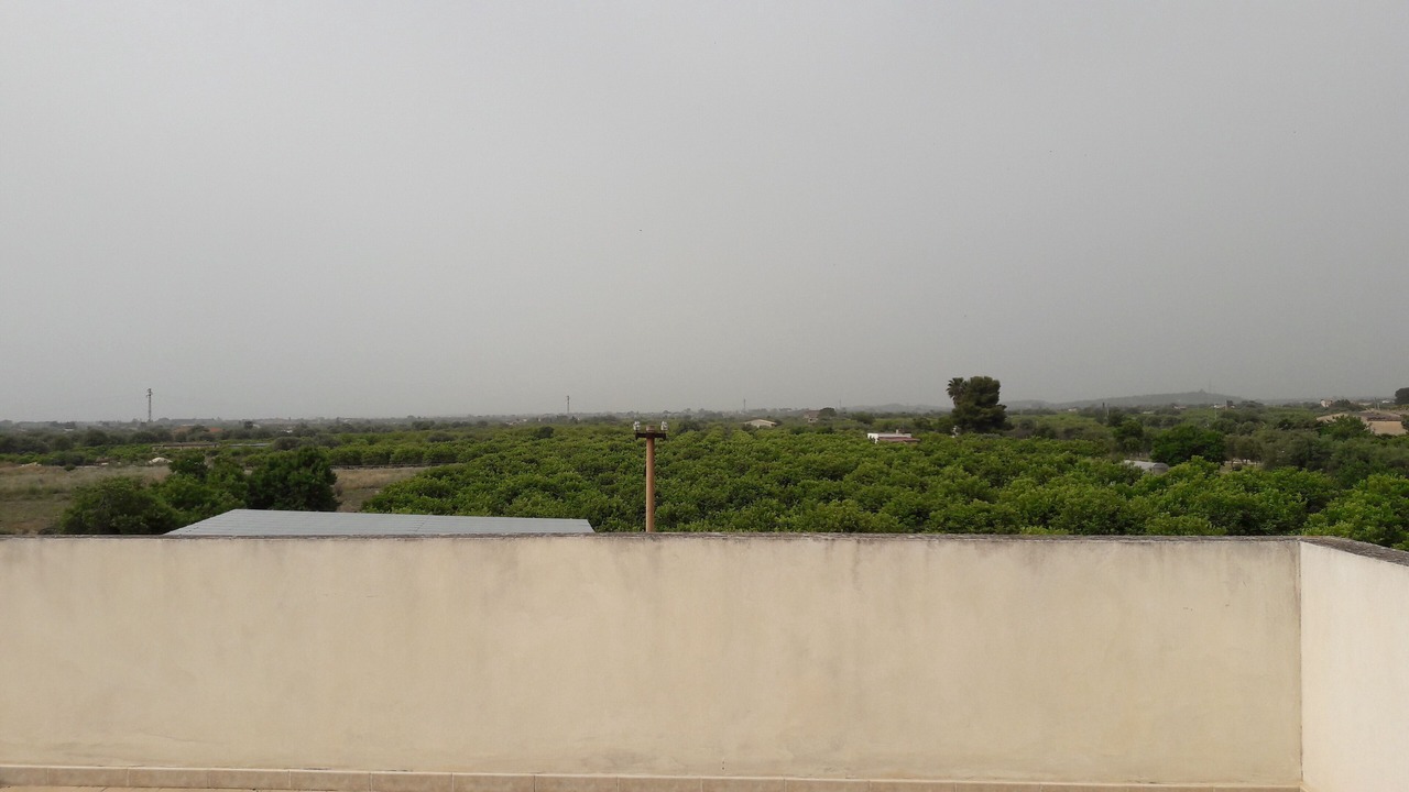Photo of Others in Avola