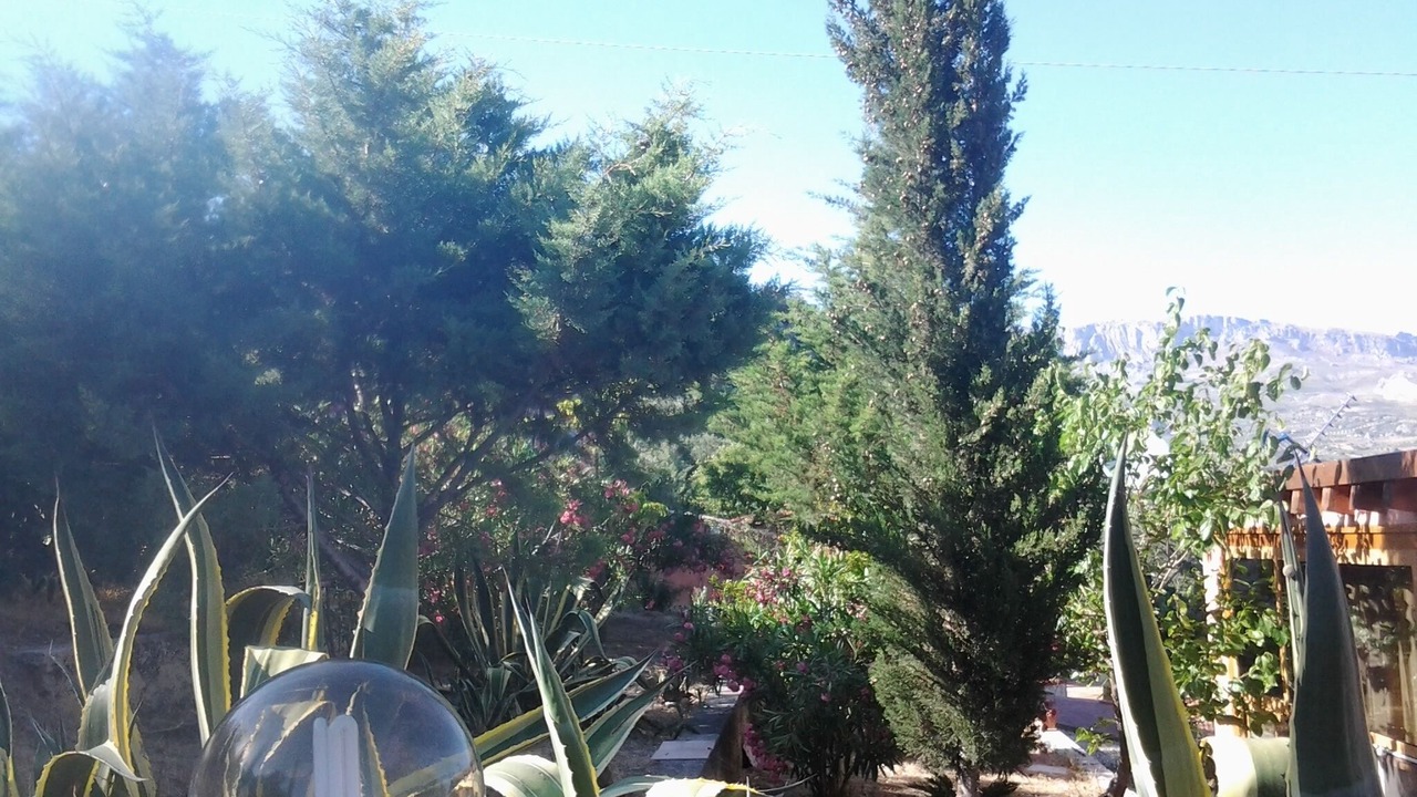 Photo of Outdoor in Sciacca
