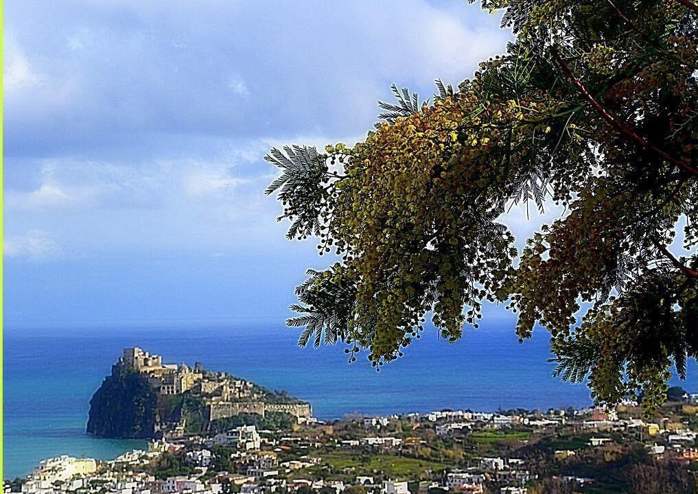 Photo of Outdoor in Fiaiano