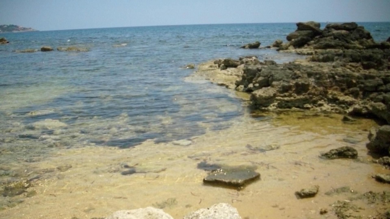 Photo of Others in Punta Milocca