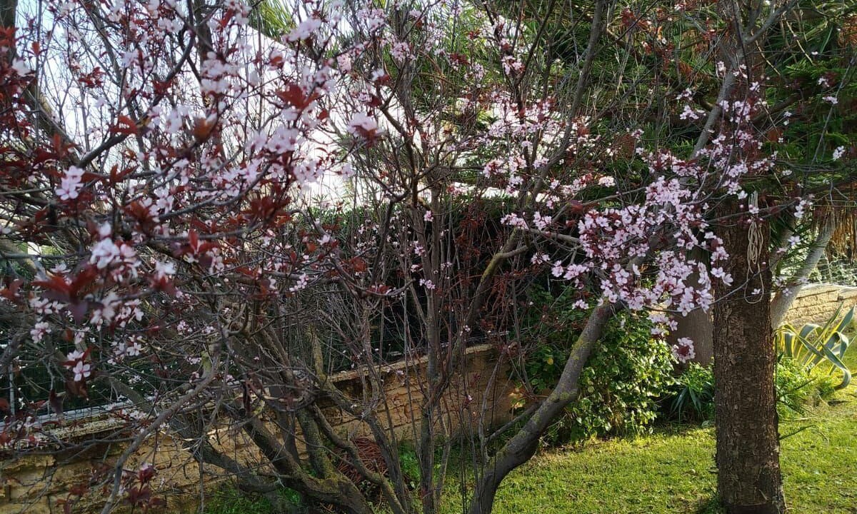 Photo of Outdoor in Punta Milocca