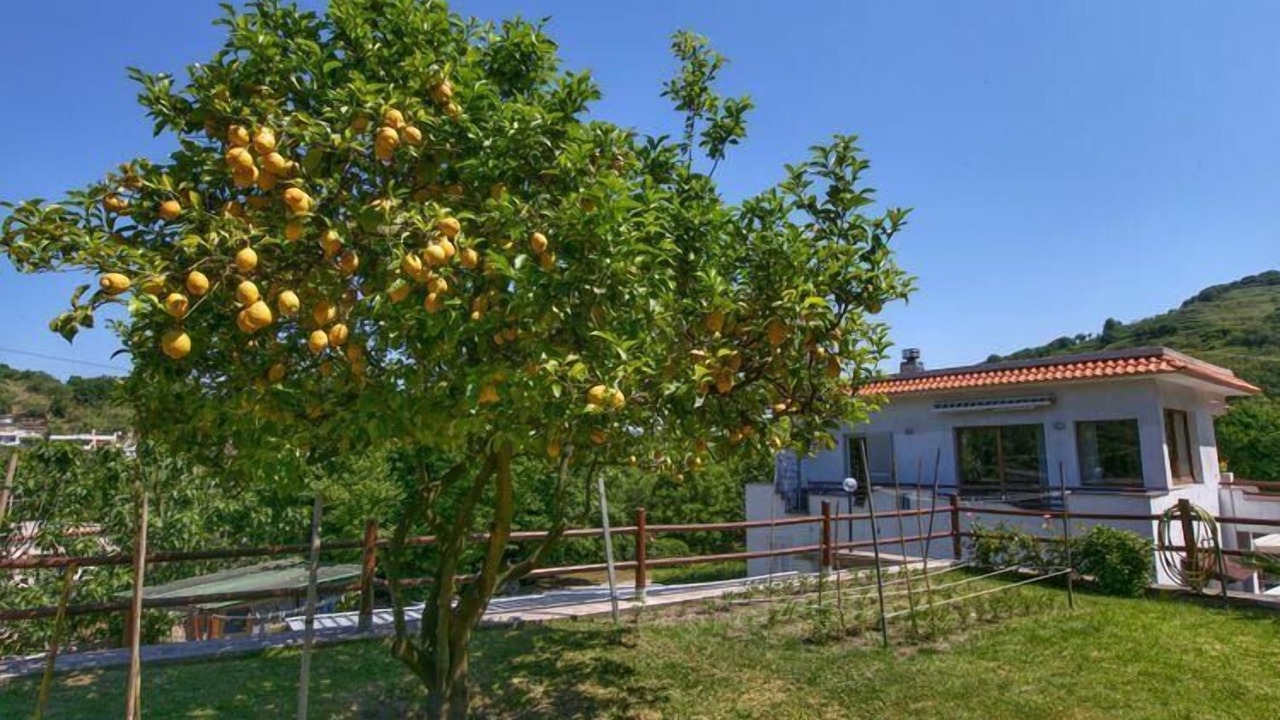 Photo of Outdoor in Barano d'Ischia