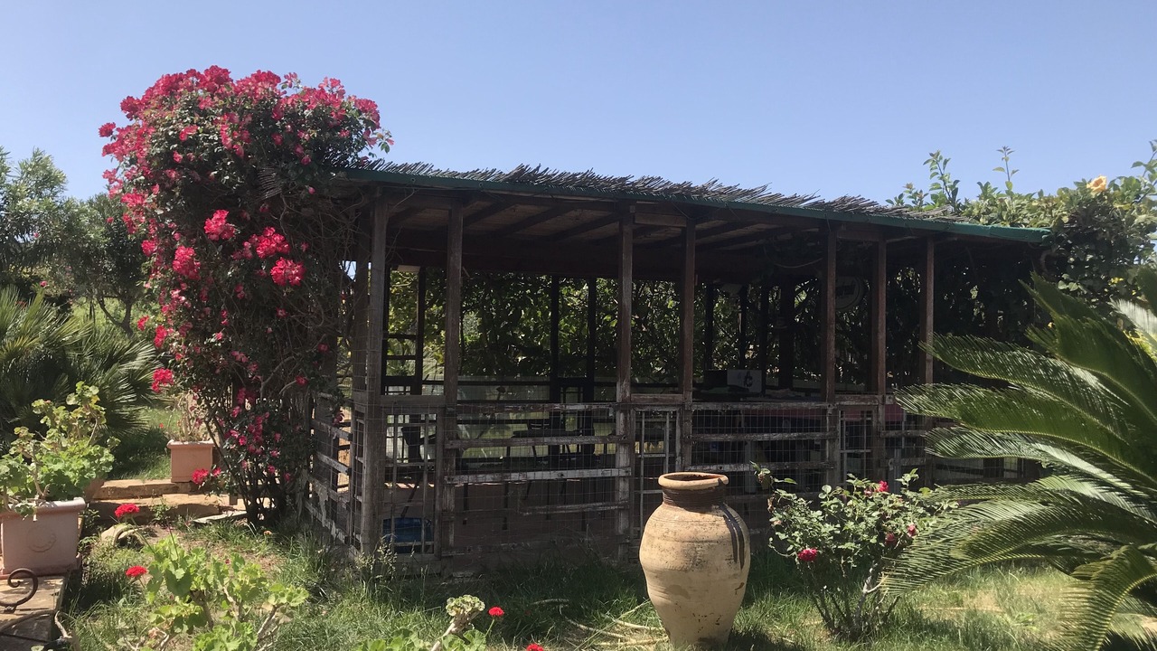 Photo of Outdoor in Agrigento