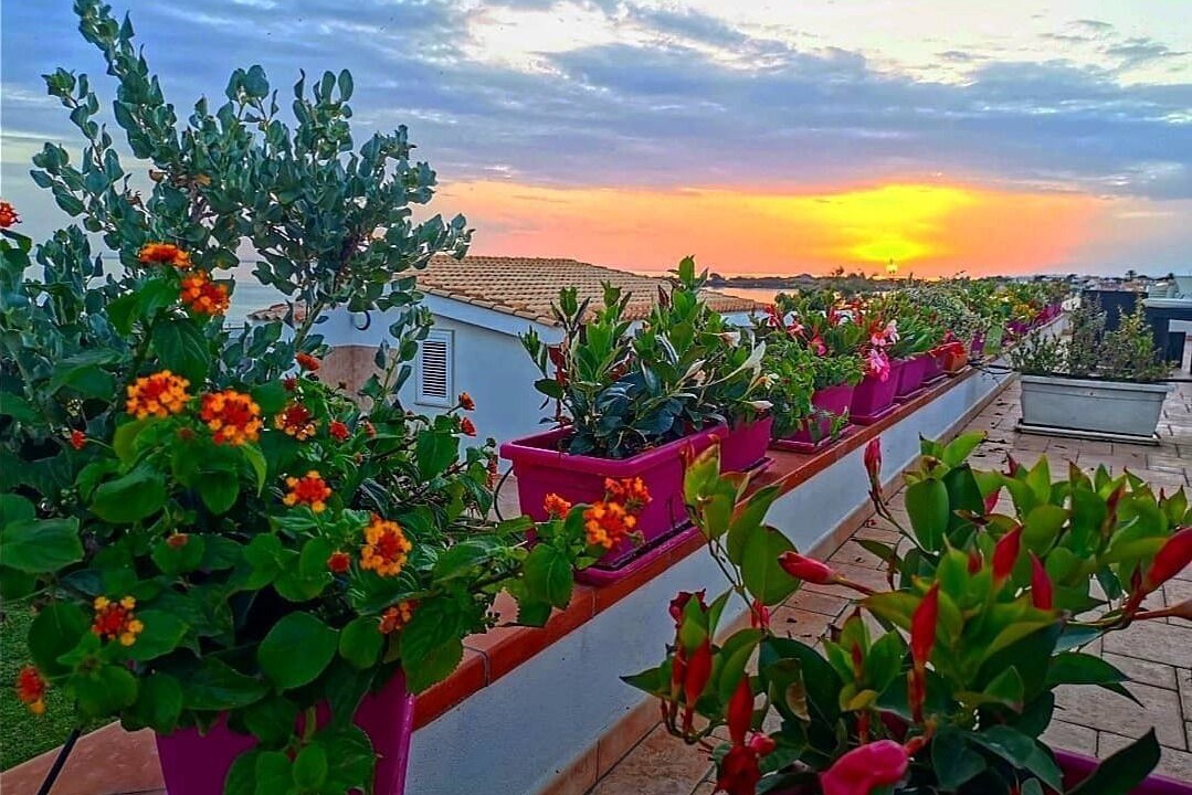 Photo of Outdoor in Punta Braccetto