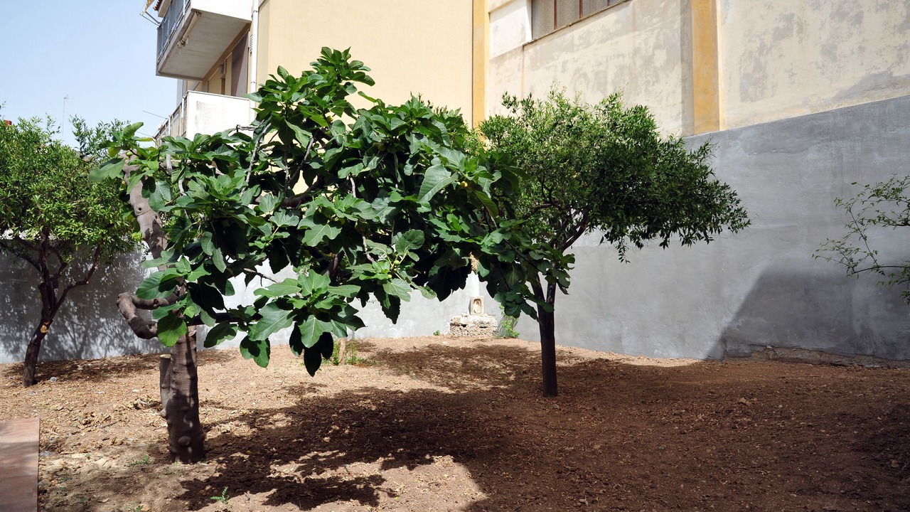 Photo of Outdoor in Noto Historic Centre