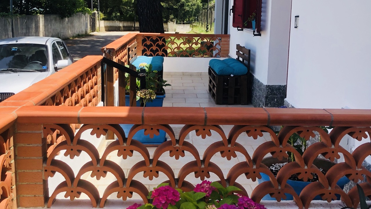 Photo of Outdoor in Scilla