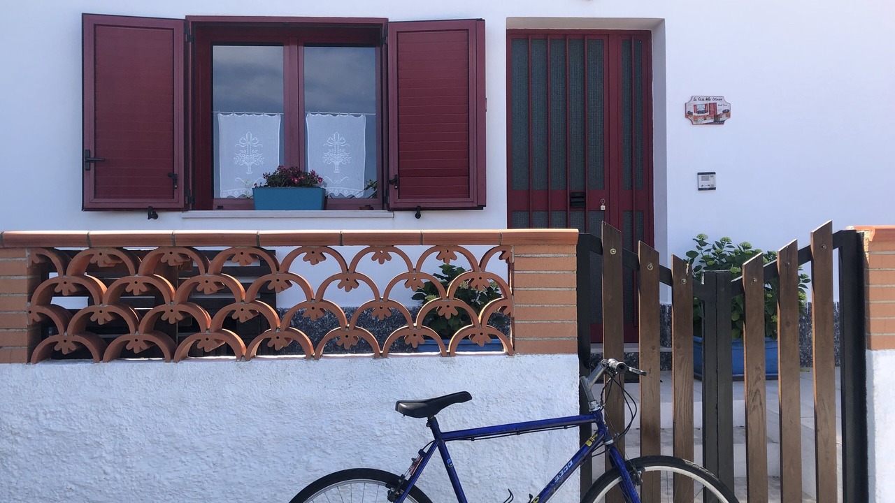 Photo of Outdoor in Scilla