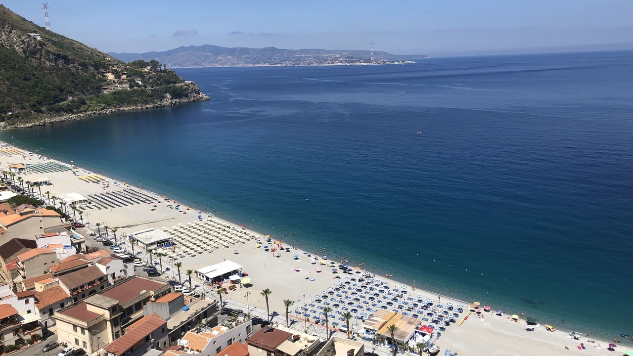 Photo of Others in Scilla