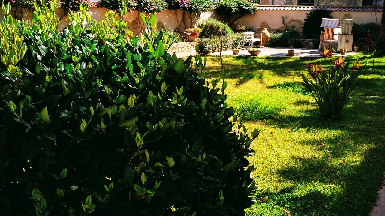 Photo of Outdoor in Patti