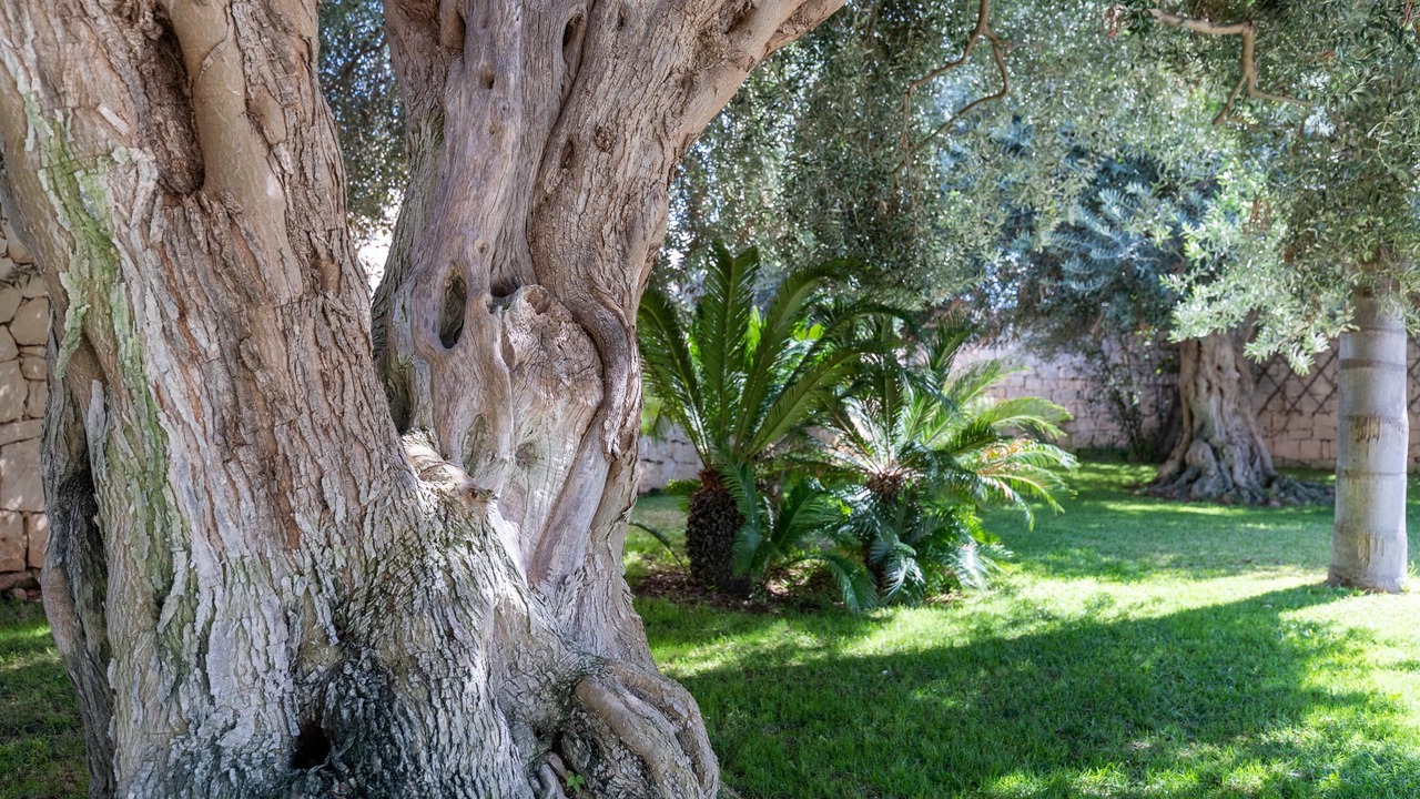 Photo of Outdoor in Scicli